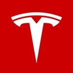 Tesla alternatives