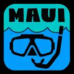 Maui Snorkeling Guide alternatives
