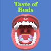 Taste Of Buds Alternatives