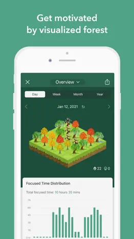 forest: focus for productivity alternatives 1