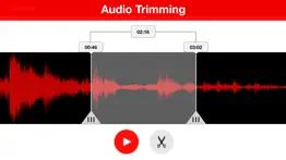 voice recorder - audio record alternatives 4