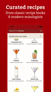 cocktail party: drink recipes alternatives 3