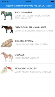 equine anatomy learning aid alternatives 1