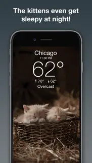 weather kitty: weather + radar alternatives 4