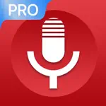 Voice Recorder - VOZ Pro alternatives