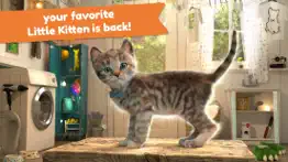 little kitten adventure games alternatives 1