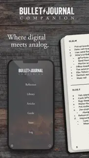 bullet journal companion alternatives 1
