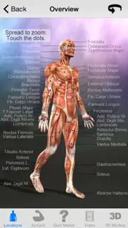 learn muscles: anatomy alternatives 2