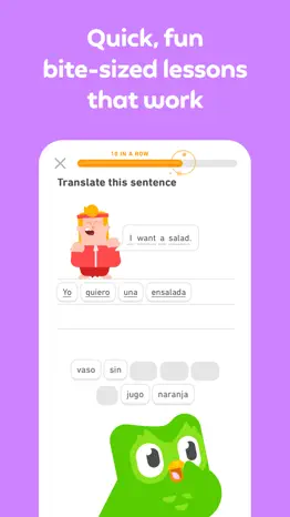 duolingo - language lessons alternatives 1