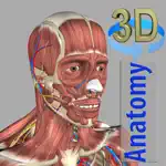 3D Anatomy alternatives