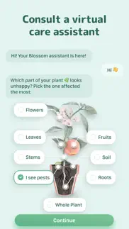 blossom - plant care guide alternatives 10