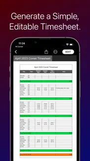 comet - your timesheet ally alternatives 3