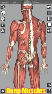 3d anatomy alternatives 5