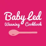 Baby Led Weaning Recipes alternatives