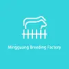 Mingguang Breeding Factory Alternatives