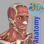 3D Anatomy alternatives