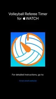volleyball referee timer alternatives 1