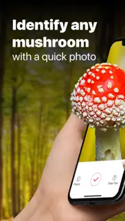 picture mushroom: fungi finder alternatives 1