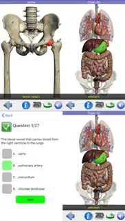 visual anatomy alternativer 8