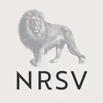 NRSV: Audio Bible for Everyone alternatives