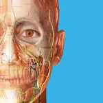 Human Anatomy Atlas 2024 alternatives