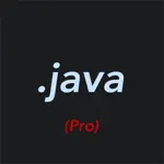 Pro Java Editor Alternatives