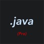 Similar Pro Java Editor Apps