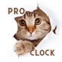 Similar Cat Clock App Pro.No Ads Apps
