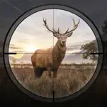 Hunting Sniper alternatives