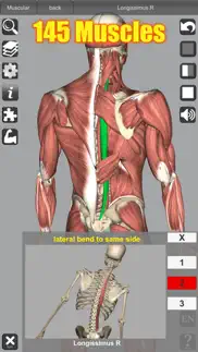 3d anatomy alternatives 2