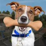 Animal Rescue - Dog Simulator Alternatives