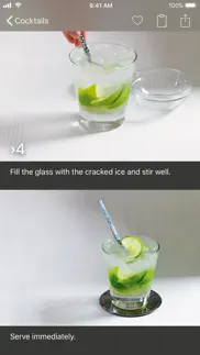 the photo cookbook – cocktails alternatives 5