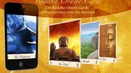 wisdom cards - spiritual guide alternativer 2
