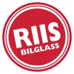 Riis Bilglass Alternativer