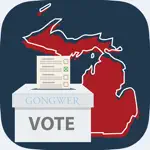 Michigan Elections Alternatives