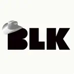 BLK - Dating for Black singles Alternatives