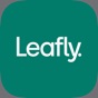 Similar Leafly: Find Weed Near You Apps