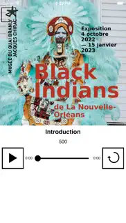 black indians nouvelle-orléans alternatives 4