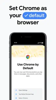google chrome alternatives 10