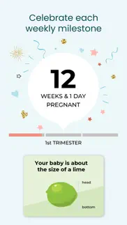 pregnancy tracker - babycenter alternatives 6