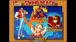 real bout fatal fury alternatives 3