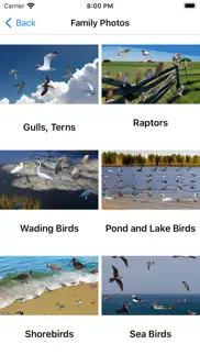 bird field guide for kids alternatives 6