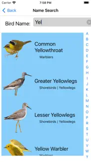 bird field guide for kids alternatives 2