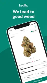 leafly: find weed near you alternatives 1