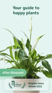 blossom - plant care guide alternatives 2
