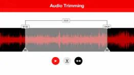 voice recorder - audio record alternatives 3