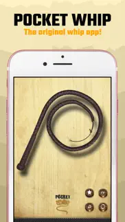 pocket whip: original whip app alternatives 1