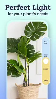 plant identifier, care: planty alternatives 6