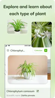 greenid: ultimate plant finder alternatives 4