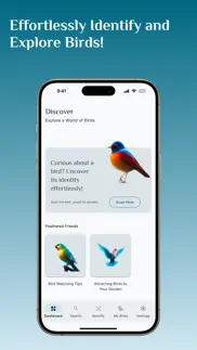 bird identifier, bird id alternativer 6